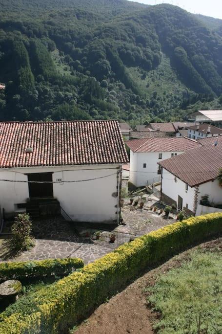 Gartzinea, Amplia Y Preciosa Vivienda Rural Lägenhet Ezkurra Exteriör bild