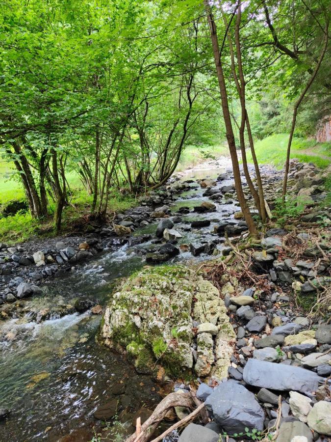 Gartzinea, Amplia Y Preciosa Vivienda Rural Lägenhet Ezkurra Exteriör bild